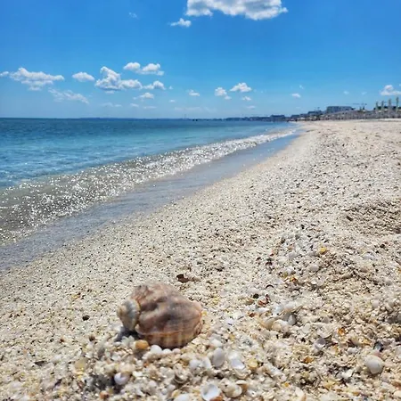 Studio Mamaia Nord-navodari Năvodari
