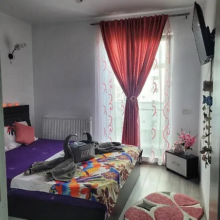 Studio Mamaia Nord-navodari