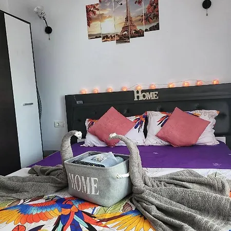 Studio Mamaia Nord-navodari *